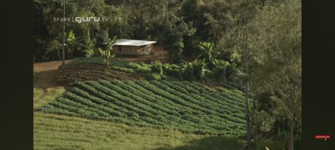 Highlands And Islands Of Papua New Guinea - 1163