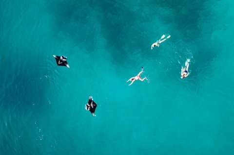 Secret Paradise Maldives - 277