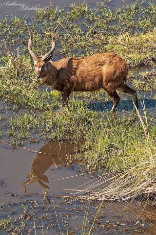 Visit Volta Region - 229