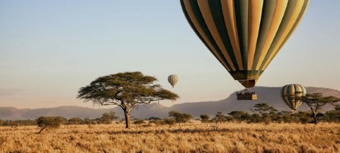 Alaitol Safari - 294