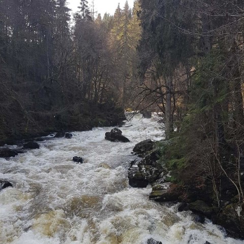 Unique Adventure Tours Scotland - 248