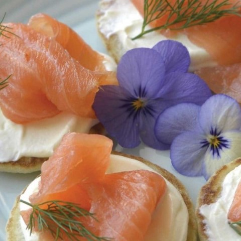 Unique Adventure Tours Scotland - 248