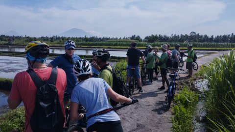 Green Bikes Bali - Ubud - 1255