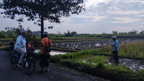 Green Bikes Bali - Ubud - 1255