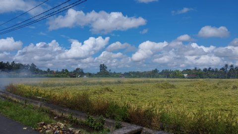 Green Bikes Bali - Ubud - 1255