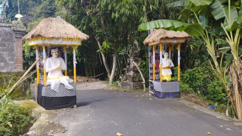 Green Bikes Bali - Ubud - 1255