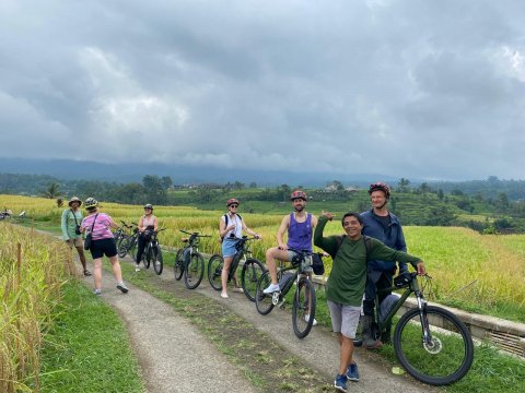 Green Bikes Bali - Jatiluwih - 1254