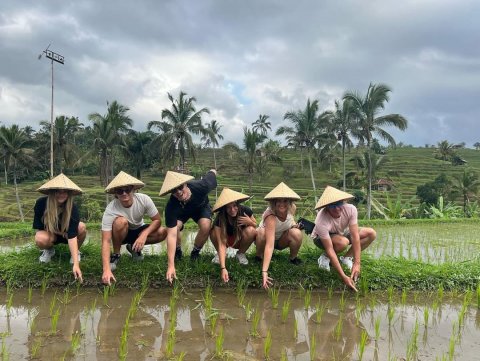 Green Bikes Bali - Jatiluwih - 1254