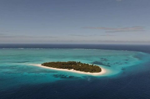 Domus Aurea Safari Company Limited - 1186