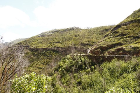 Old 4x4 Montagu Pass And Wine Tasting - 249