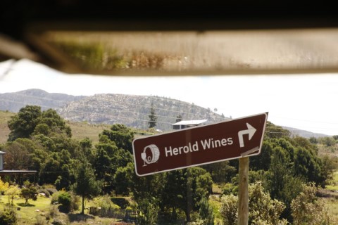 Old 4x4 Montagu Pass And Wine Tasting - 249