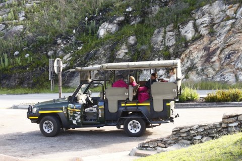 Old 4x4 Montagu Pass And Wine Tasting - 249