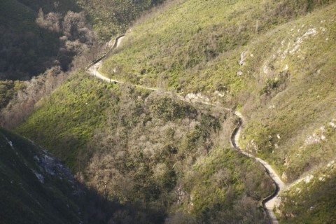 Old 4x4 Montagu Pass And Wine Tasting - 249