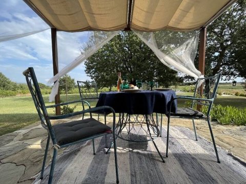 Quercuum Dimorae - 1253