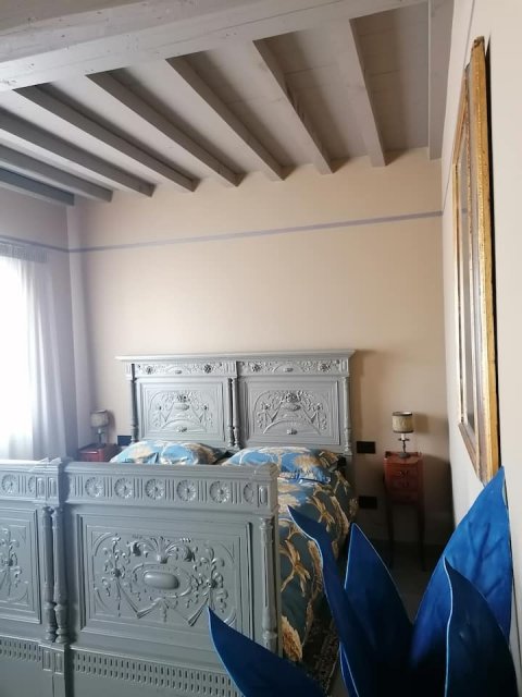 Quercuum Dimorae - 1253