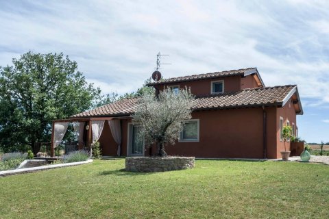 Quercuum Dimorae - 1253