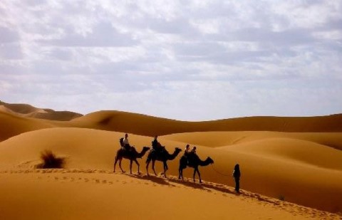 Atlas And Sahara Tours - 110