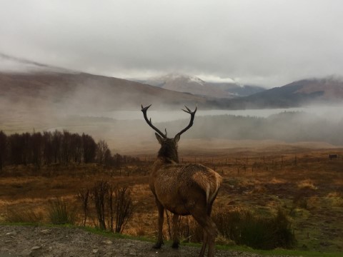 Dm Executive Travel - 230