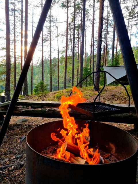The Hammock Trail Sweden - 1392