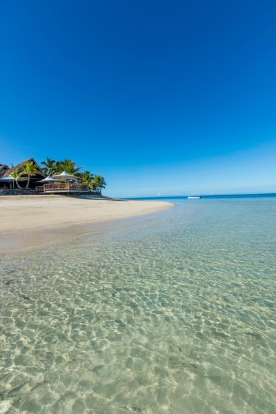 Castaway Island, Fiji - 505