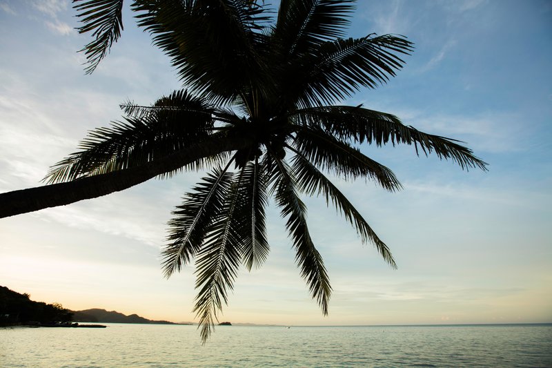 Castaway Island, Fiji - 505