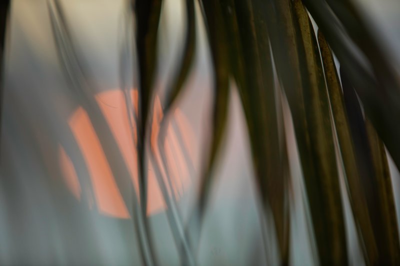 Castaway Island, Fiji - 505