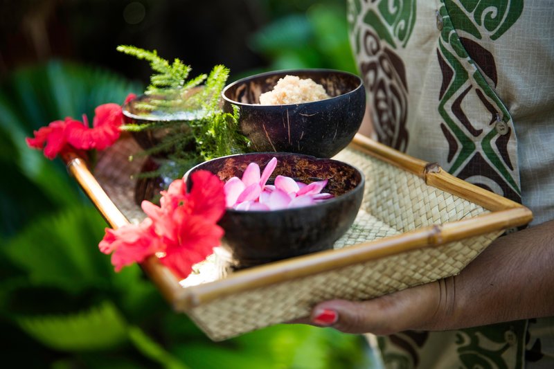 Castaway Island, Fiji - 505