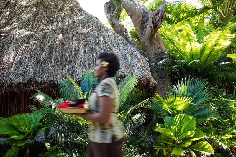 Castaway Island, Fiji - 505