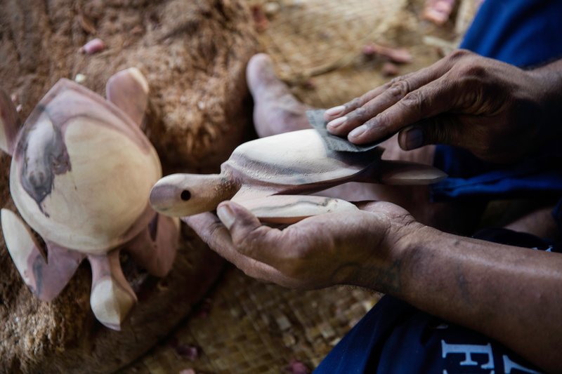Castaway Island, Fiji - 505
