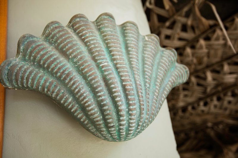 Castaway Island, Fiji - 505