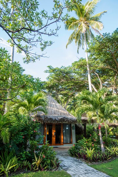 Castaway Island, Fiji - 505