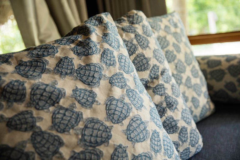 Castaway Island, Fiji - 505