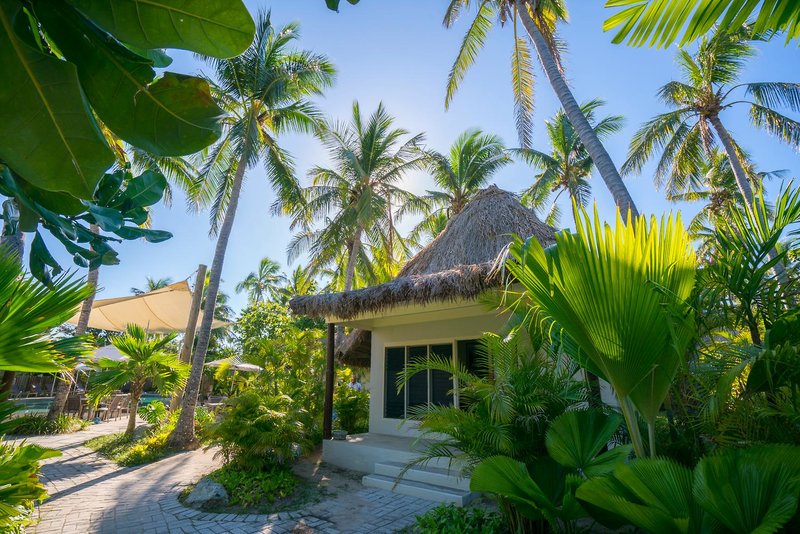 Castaway Island, Fiji - 505