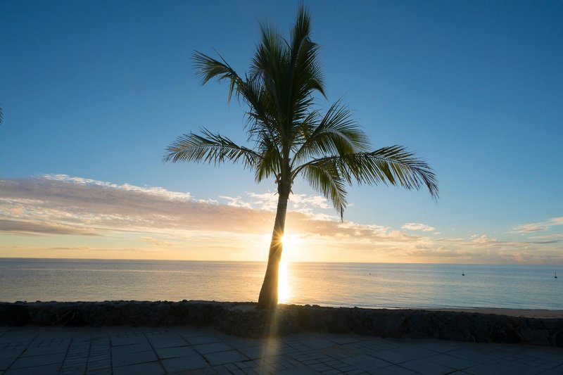 Castaway Island, Fiji - 505