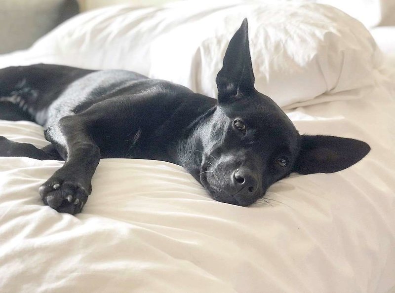 Coast Prince George Hotel By Apa - 514