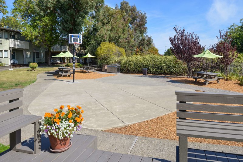 Best Western Corte Madera Inn - 855