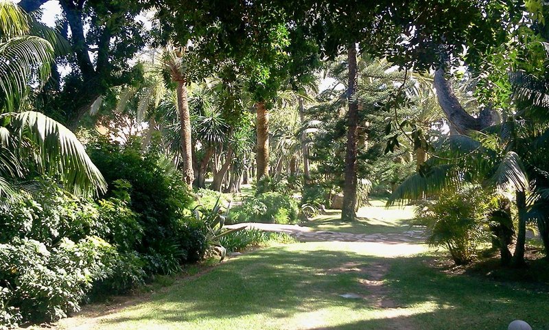 Don Carlos Leisure Resort & Spa - 528