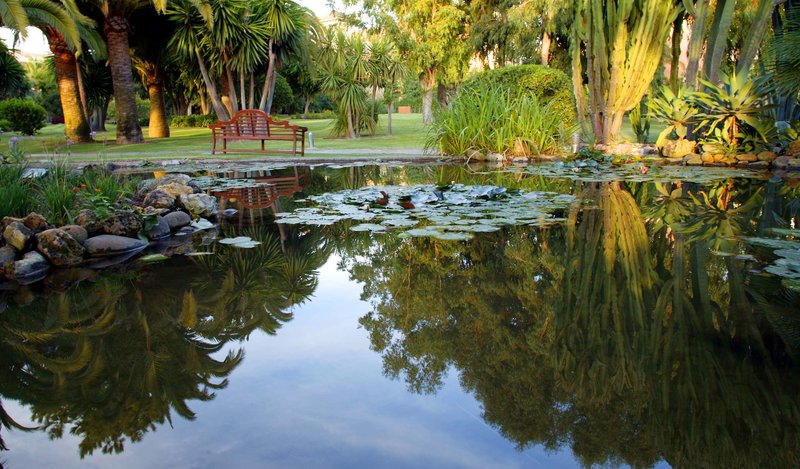 Don Carlos Leisure Resort & Spa - 528