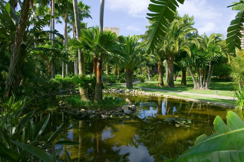 Don Carlos Leisure Resort & Spa - 528