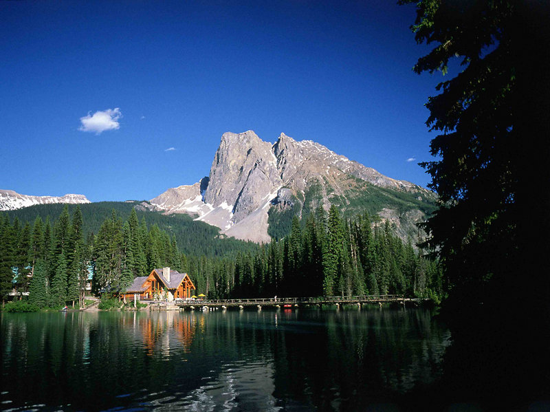 Emerald Lake Lodge - 533