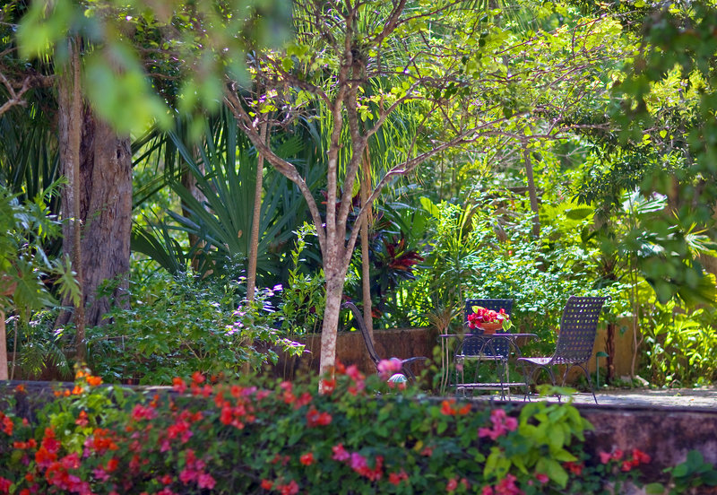 Hacienda Santa Rosa, A Luxury Collection Hotel, Santa Rosa - 545