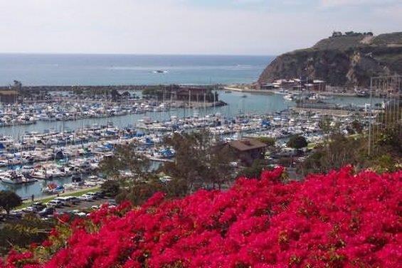 Dana Point Marina Inn - 901
