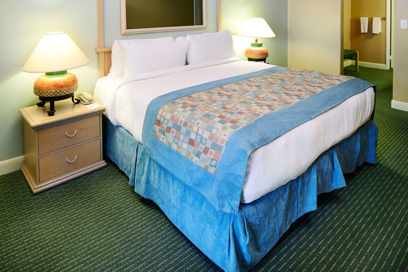 Palm Canyon Resort - 972