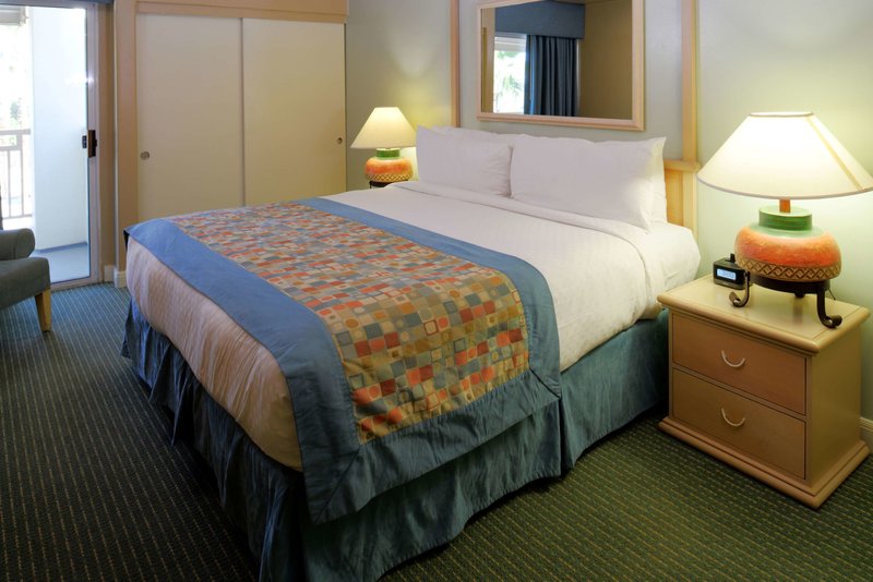 Palm Canyon Resort - 972