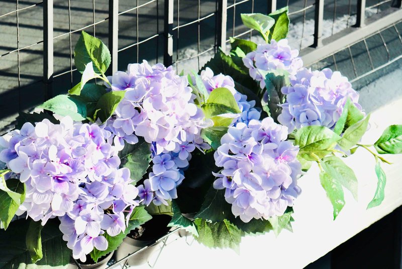 Travelodge Big Bear Lake Ca - 979