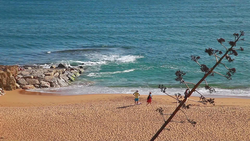 Auramar Beach Resort - 400