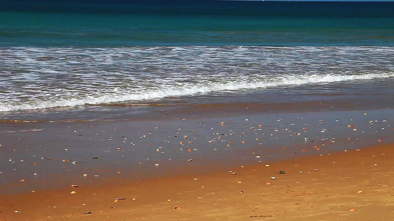 Monica Isabel Beach Club - 406