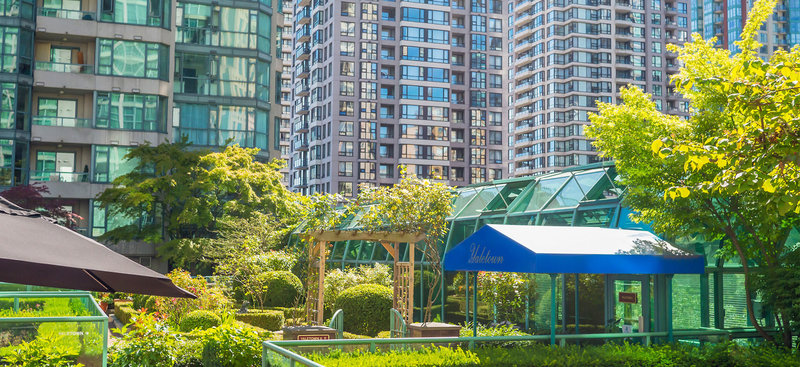 Rosedale on Robson Suite