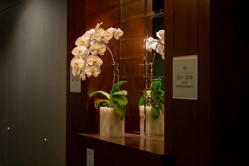 St. Regis - 643