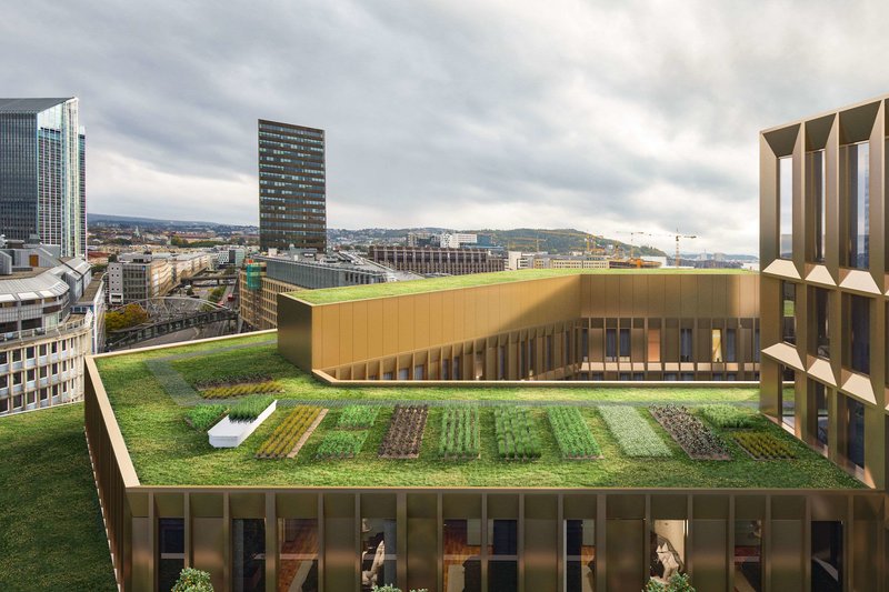 Clarion Hotel The Hub - 647